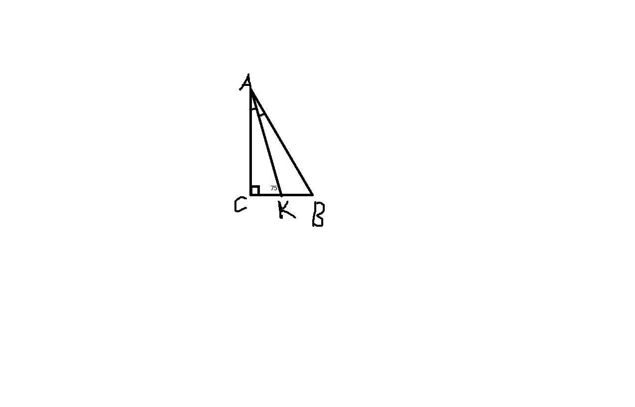 0.75 градусов. Треугольник с углом 75 градусов. Найти угол Сак.